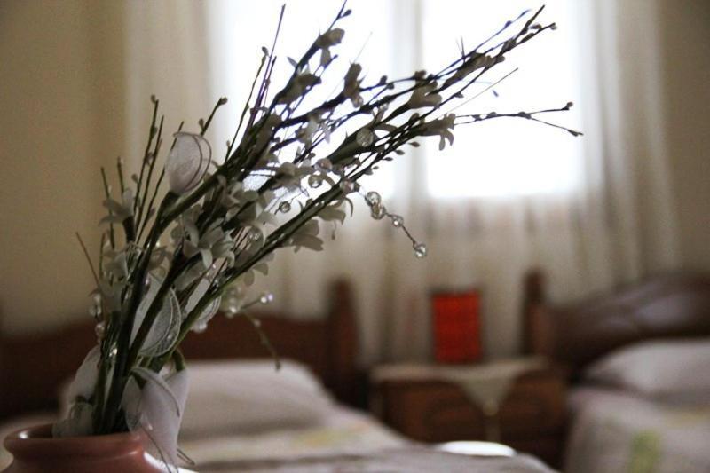 Stis Kyra - Vasilikis Apartment อิโออันนินา ภายนอก รูปภาพ